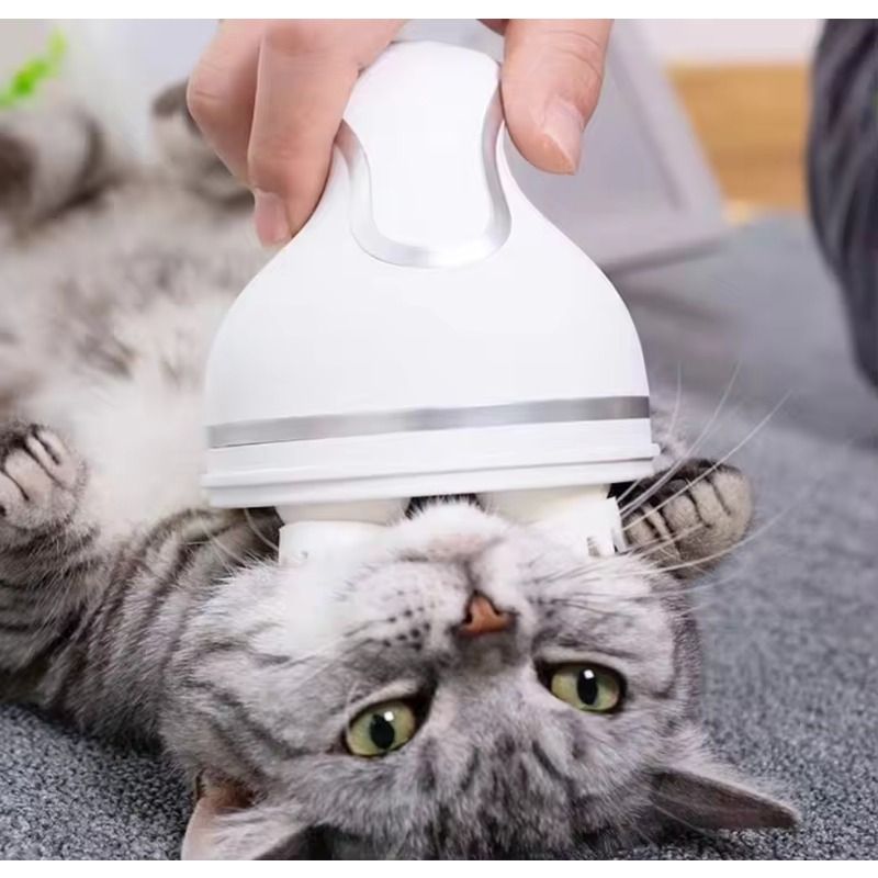 Kedi Akıllı Otomatik Silikon Ş - Scalp Massager Electric incelemesi ve fiyatı