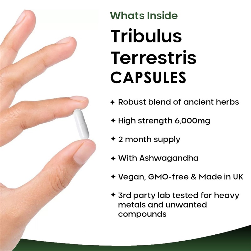 Tribulus Terrestris 6000MG - G - Health And Wellness Promotion incelemesi ve fiyatı